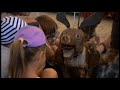 Voir la vidéo Festival des Piments Masqués : 10 ans ! Epicez-tout ! - Image 15
