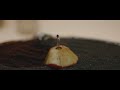 Voir la vidéo Sous Terre - Image 2