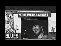 Voir la vidéo LES ENFANTS DU CRICKETERS - Image 2