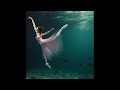 Voir la vidéo L e i r b a g - Tango Argentin, Jazz, Musique Latine, Musiques Improvisées  - Image 4