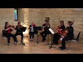 Voir la vidéo Les Archets Sans Cible - Groupe d'instrumentistes à cordes à géométrie variable ! - Image 2