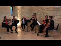 Voir la vidéo Les Archets Sans Cible - Groupe d'instrumentistes à cordes à géométrie variable ! - Image 3