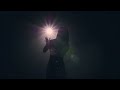 Voir la vidéo DESTIN Tribute Céline Dion - Le meilleur de Céline sur scène - Image 8