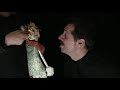 Voir la vidéo VDDiffusion - Spectacles pour la Rue ou en Salle - Tout âge