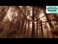 Voir la vidéo Association Kiffer en musique - Propose Concerts/Stages/Animations... - Image 7