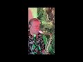 Voir la vidéo PASCAL SAX  - Animation musicale en solo  - Image 5