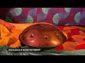 Voir la vidéo ROSIE la tortue - Cie Za'tourne - Image 3
