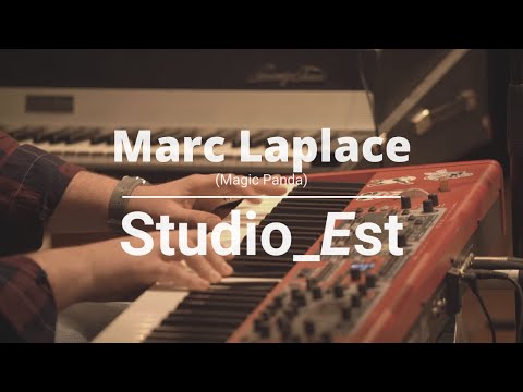 David F - bassiste pro propose ses differents groupes