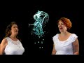 Voir la vidéo Lush - Groupe électro latino - Image 3