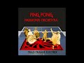 Voir la vidéo PING PONG HARMONIX ORCHESTRA - Trad/Transe/Electro - Image 6