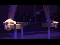 Voir la vidéo Paul Longuebray - Artiste de cirque / Spectacles et numéros - Image 9