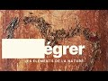 Voir la vidéo Sophie Lecesne - Artiste peintre  - Image 3