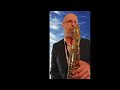Voir la vidéo Realsolo - animations jazz and world music  - Image 7