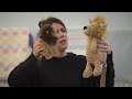 Voir la vidéo Pas Touche Minouche ! - Image 7