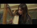 Voir la vidéo L'Oiseau-Lyre - cours de harpe, traverso - Image 2