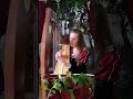 Voir la vidéo Lynda SPECQ - Harpe et Compagnie - Spectacles et Animations Maquillages, Ballons - Image 9