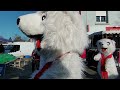 Voir la vidéo Electro De Rue - Fanfare Electro Jazz - Image 12