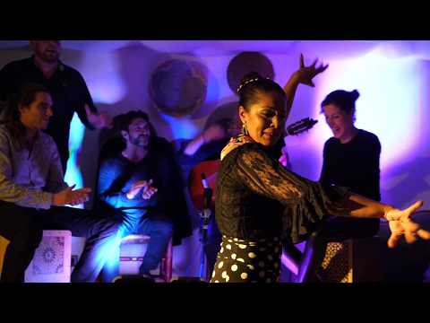 El Mira - Flamenco, rumba, son Latino