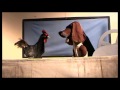 Voir la vidéo Stéphane Antoine - "Pavane" - Image 4