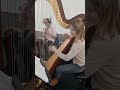 Voir la vidéo HarpiStick trio - Concert, Evènementiel, Animation - Image 13