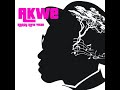 Voir la vidéo AKWE - Auteur compositeur interprète nigérian solo duo trio quartet - Image 3