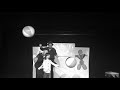 Voir la vidéo Compagnie Syma - Mouss fait son cirque ! - Image 5