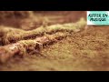 Voir la vidéo Association Kiffer en musique - Propose Concerts/Stages/Animations... - Image 8