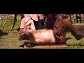 Voir la vidéo Cie Sonjévéyés - les Maroufles - Théâtre de rue Burlesque - Image 30