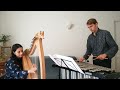 Voir la vidéo Tsiky Tsiky - Duo harpe et percussions - Image 2