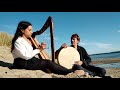 Voir la vidéo Tsiky Tsiky - Duo harpe et percussions - Image 3