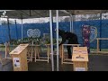 Voir la vidéo NICOLAND, le monde miniature - Nigloland en miniature chez vous ! - Image 7