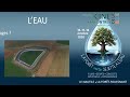 Voir la vidéo Ciné-Rencontres de la BAIE - La Forêt verte se jette à l'eau - Image 2