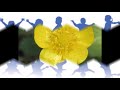 Voir la vidéo Didier LAMOTHE - Spectacles musicaux pour enfants et animations tout-public - Image 4