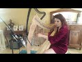 Voir la vidéo Laurene Telennaria - Concert Harpe&chant - "Voyage en Terres Celtes" - Image 2