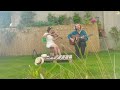 Voir la vidéo The Silly Boggers - Irish Music - Image 3
