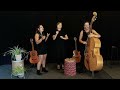 Voir la vidéo Bocata trio - chansons brésiliennes à trois voix - Image 2