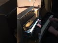 Voir la vidéo La Pianiste - Cours de piano - Coaching - Webcam - Workshops - Image 3