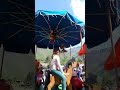 Voir la vidéo Par Ici L'Escampette - Manège à pédales écologique ave duo guitare / chant - Image 17