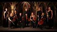 Les Violons de France