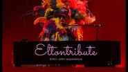 The Eltontribute