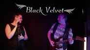Black Velvet