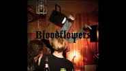 Bloodflower